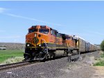 BNSF 1071 West